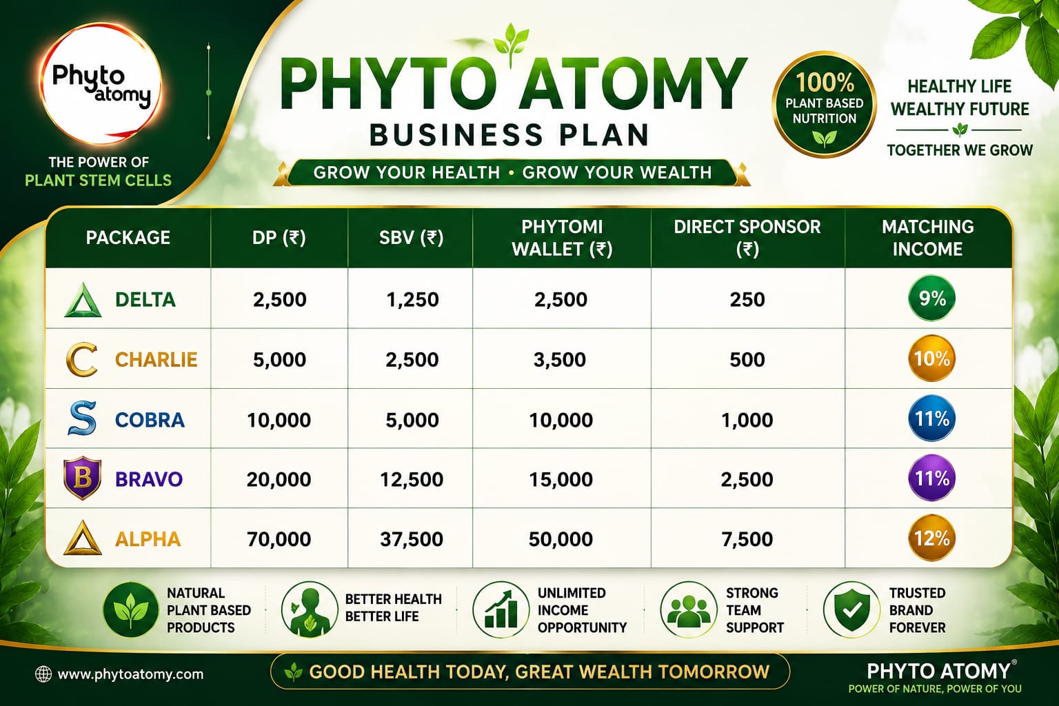 Phyto Atomy Bussiness Plan 7891188055 Phyto Atomy Bussiness Plan 7891188055