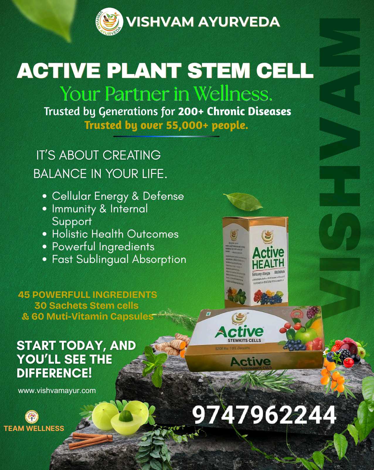 Vishvam Ayurveda,active Plant Stemcell Vishvam Ayurveda,active Plant Stemcell