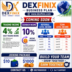 DEXFINIX - BUSINESS PLAN LAUNCHING COMING SOON DEXFINIX - BUSINESS PLAN LAUNCHING COMING SOON
