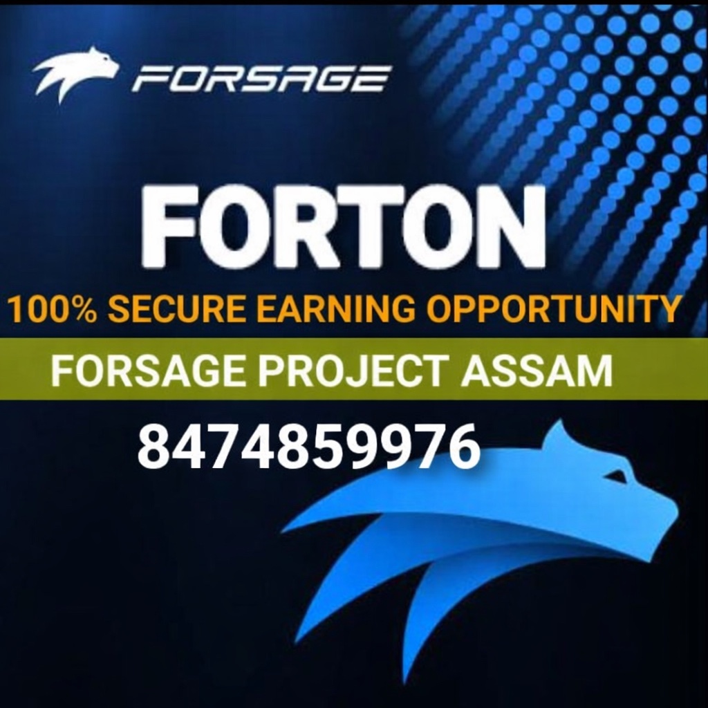 Forton And Forsage Marketing Plan Forton And Forsage Marketing Plan