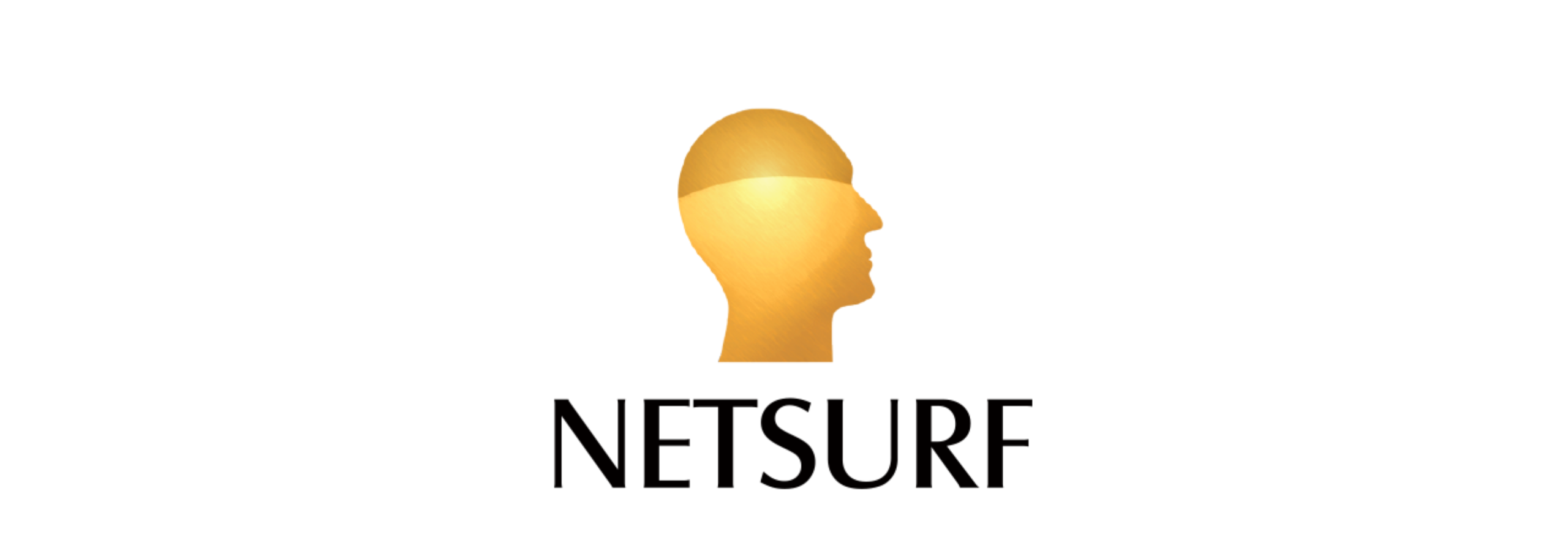 Netsurf Communication ends FY22 with a profit of Rs 19 crore; plans to  expand business on its newly launched app - Brand Wagon News | The  Financial Express